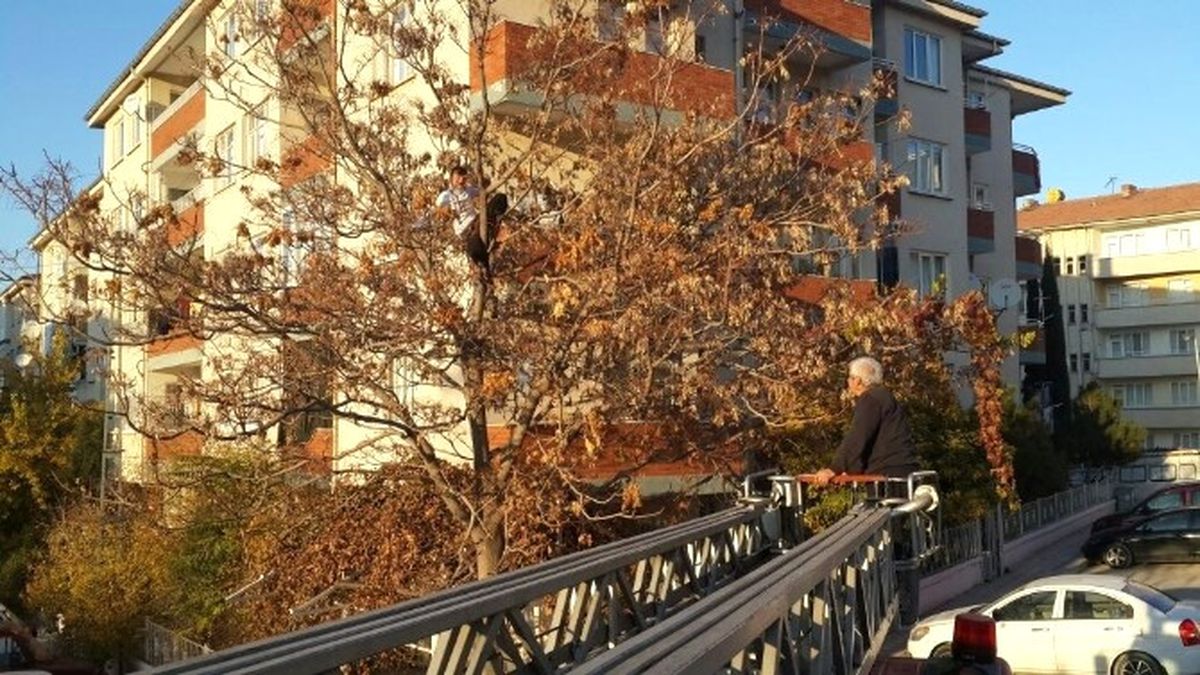 Ağaçta Mahsur Kalan Gencin İmdadına İtfaiye Yetişti