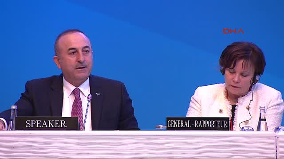 Dışişleri Bakanı Çavuşoğlu\'ndan Ermeni Milletvekiline Sert Tepti