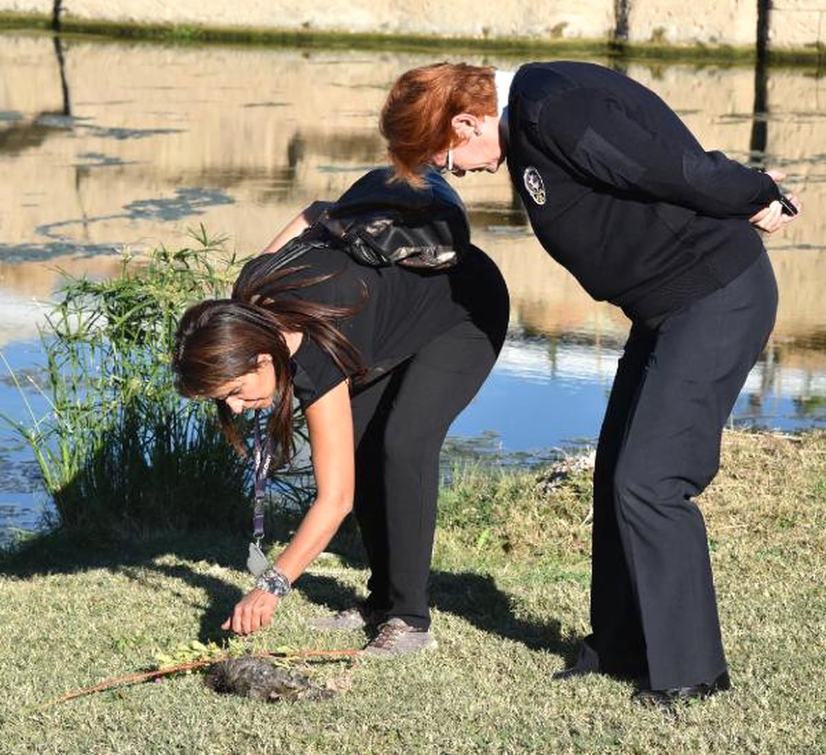 Düdenpark\'da Öldürülen Kedi Sayısı 9 Oldu (2)