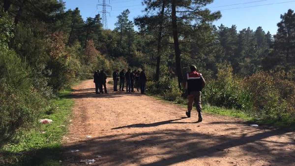 Kaybolan Taksicinin Ormanda Cesedi Bulundu