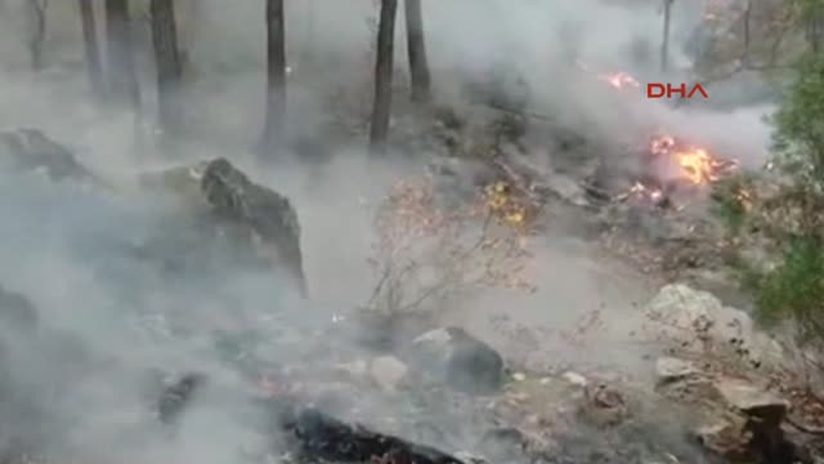 Kemer\'de Dağlık Alanda Yangın