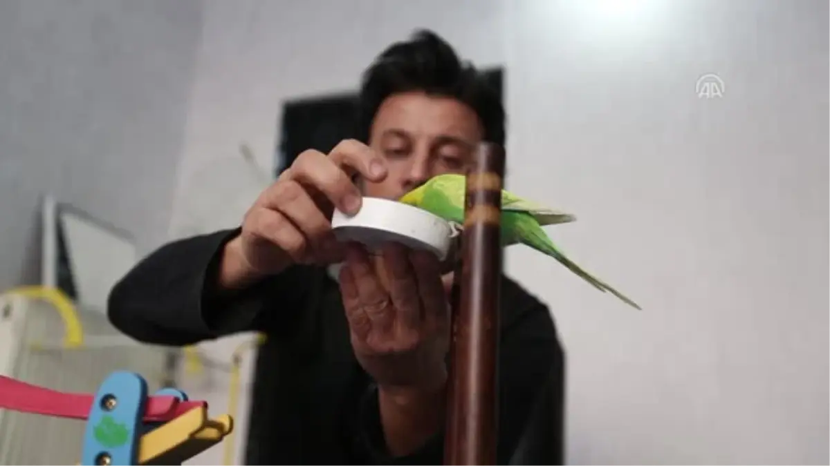 Limon", Yeteneğiyle Görenleri Şaşırtıyor