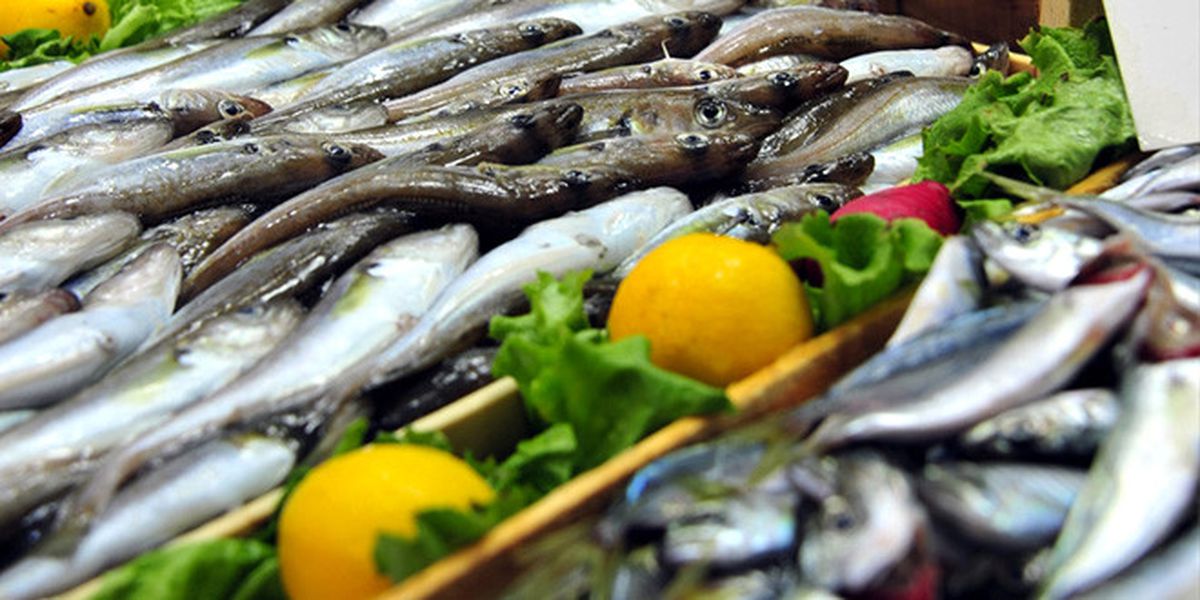 Tekirdağ\'da Balık Fiyatları
