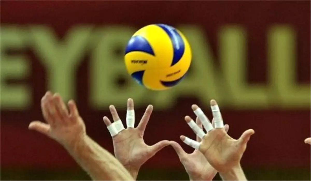 Voleybol: Efeler Ligi