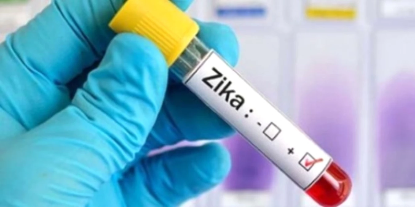 Zika Virüsü İçin "Küresel Acil Durum" Kaldırıldı
