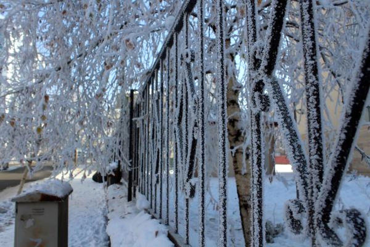 Ardahan'da Hava Sıcaklığı Aniden Düşünce Kura Nehri Dondu