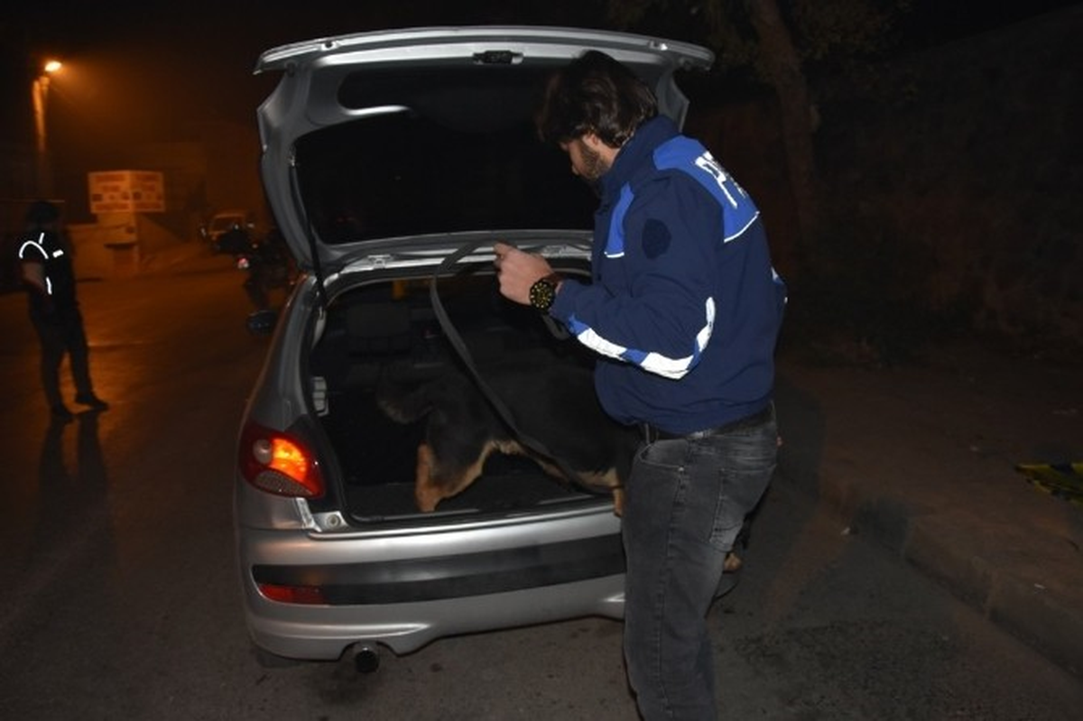 İzmir\'de 300 Polisle Narkotik Uygulaması