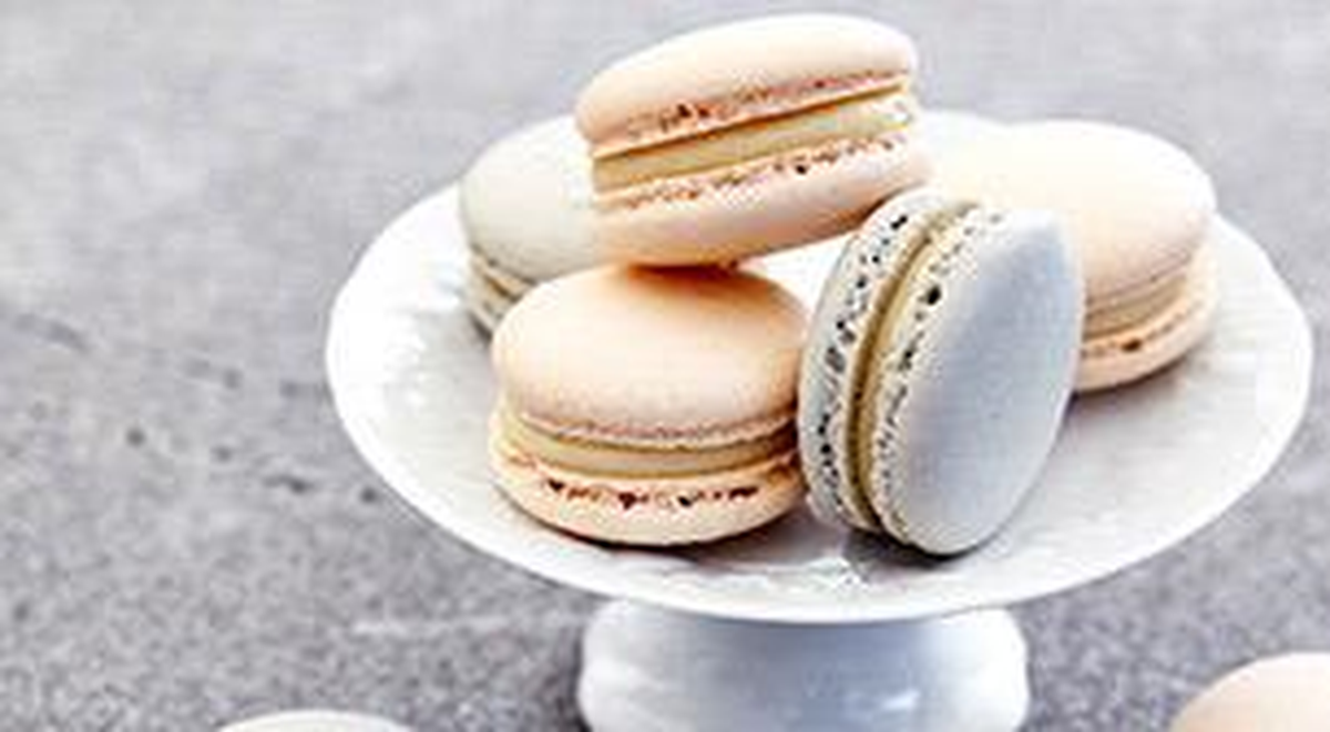 Msa - Matmazel Macaron