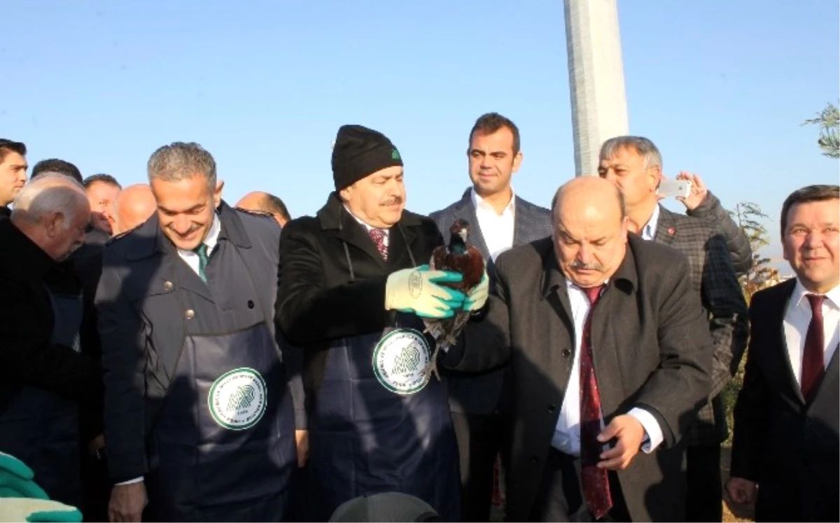 Orman ve Su İşleri Bakanı Eroğlu Yalova\'da
