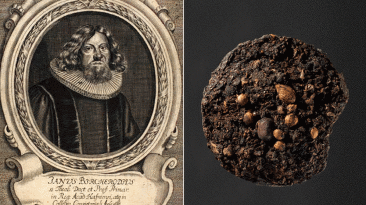 300 Yıllık Dışkı Piskopos Jens Bircherod'e Ait Çıktı