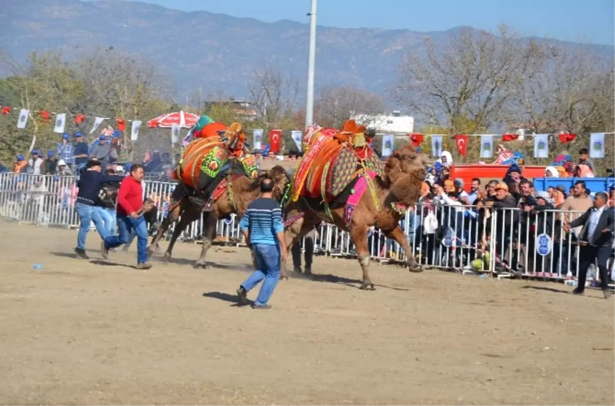 Develer Arenaya Sığmadı