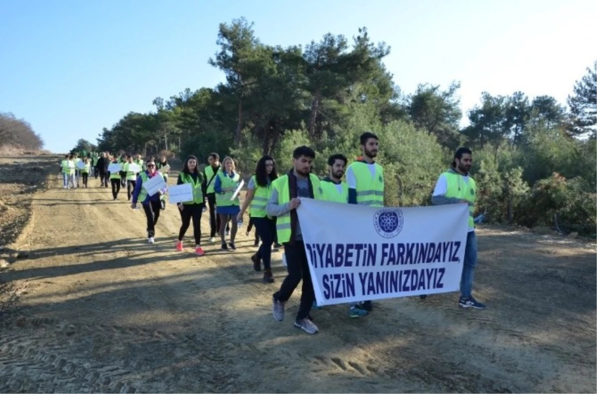 Diyabet Farkındalık Yürüyüşü