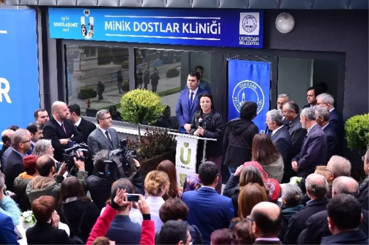 Üsküdar\'da Sokak Hayvanlarına Özel Klinik Açıldı