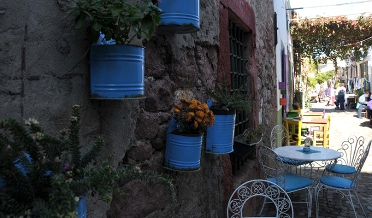 Zeytin Ağacının Koruyucu, Bilge Gölgesinde, Ayvalık\'ta…
