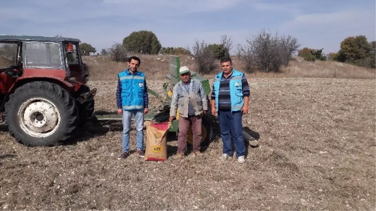 27 Çiftçiye Macar Fiği Tohumu