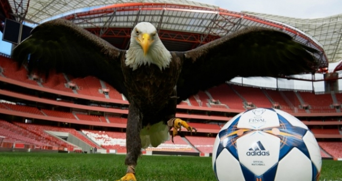 Beşiktaş'ın 1 Dakikalık Sessiz Tezahüratına Benfica da Destek Verecek