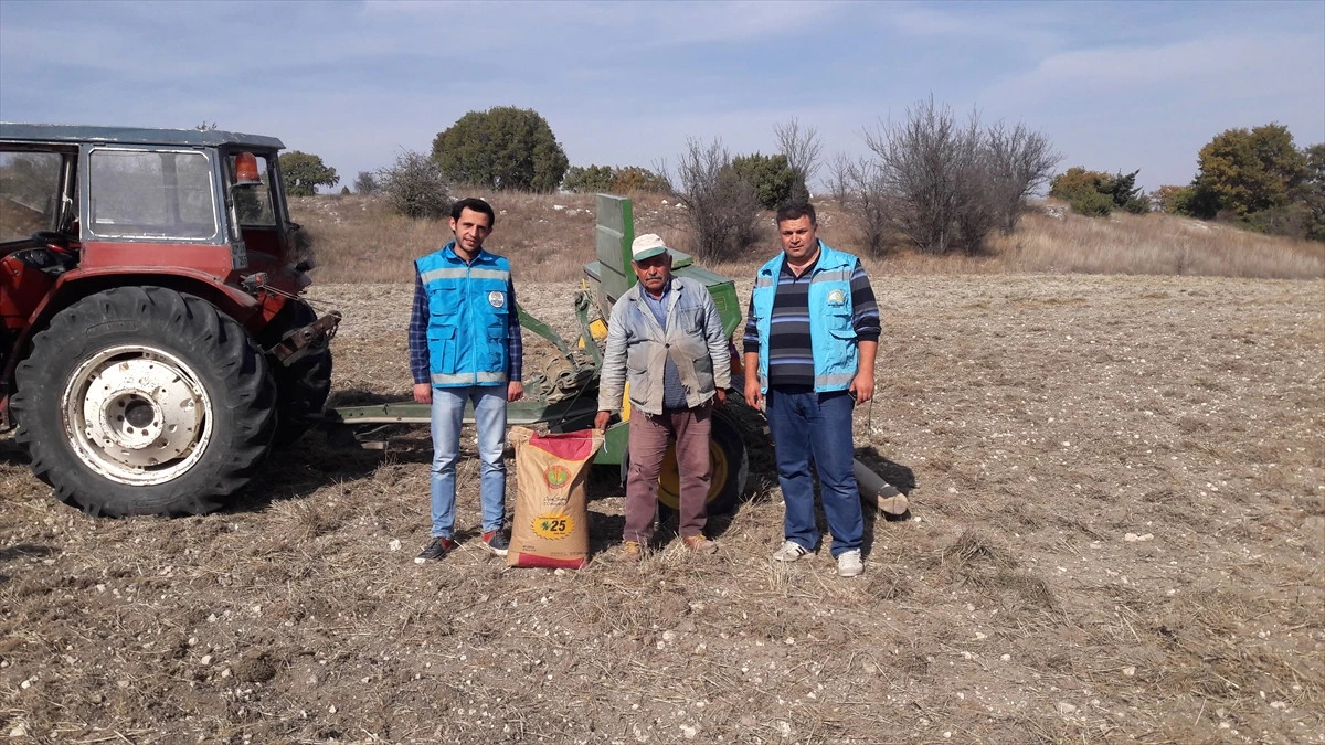 Çavdarhisar\'da Macar Fiği Tohumu Dağıtıldı