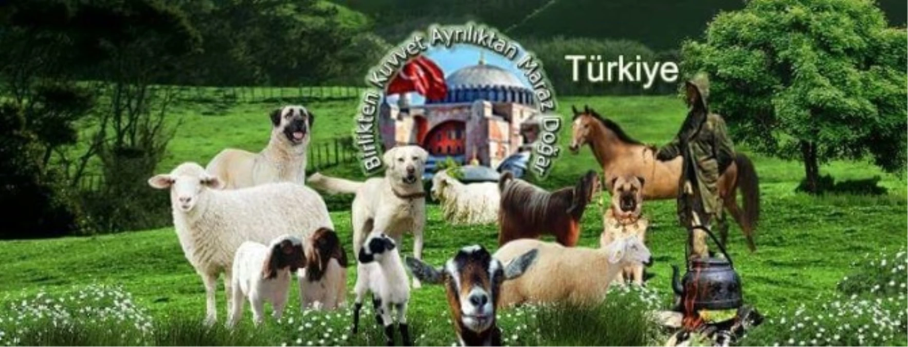 Çobanlardan Bursa\'daki Etkinlik İçin Cumhurbaşkanına Davet