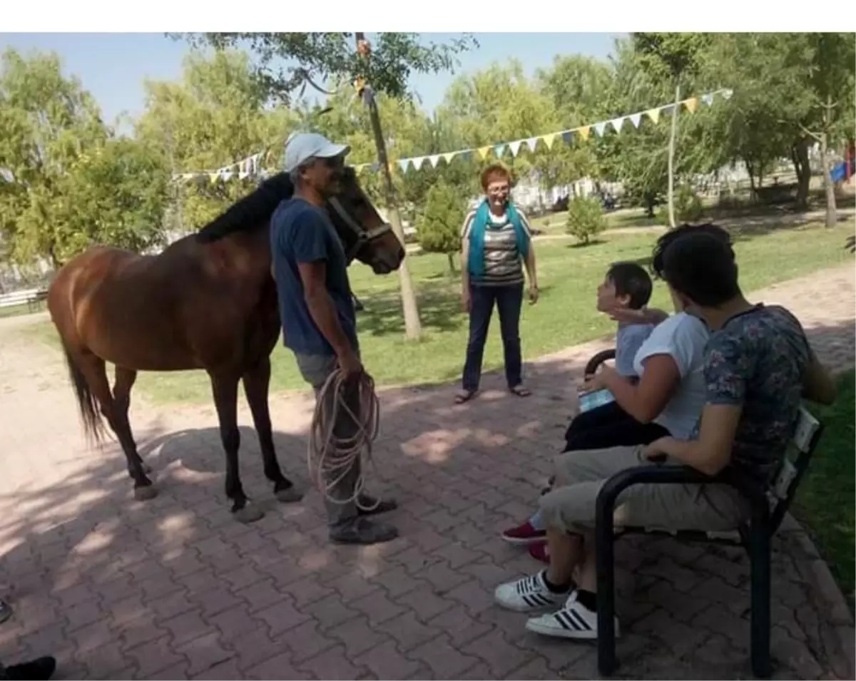 Otistik Çocukların Çalınan Atı "Hazal" Bulundu