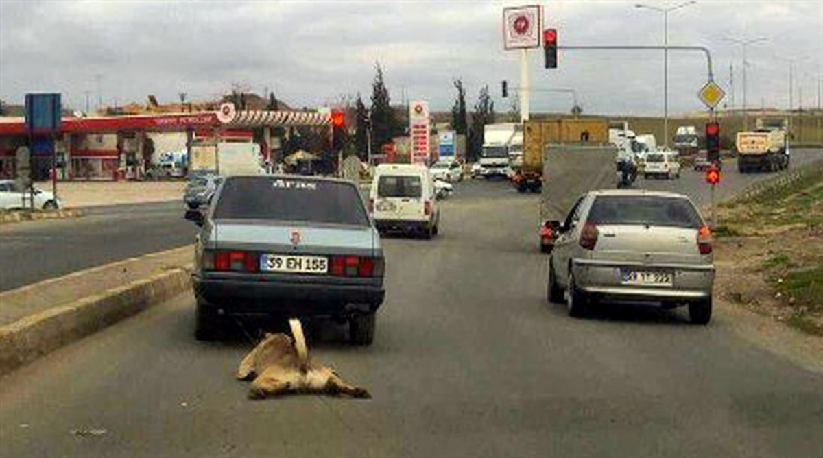 Otomobilin Arkasına Bağladığı Köpeği Sürükledi