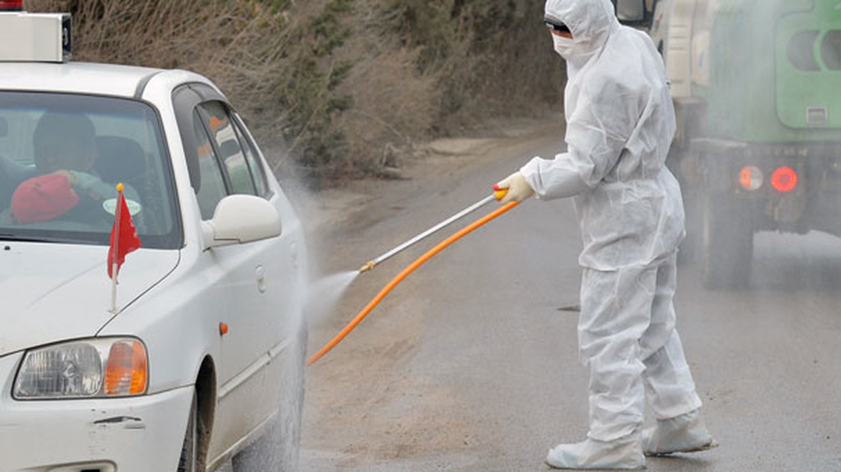 Salgın Avrupa'da Yayılıyor! Kuş gribi İsveç'e Ulaştı
