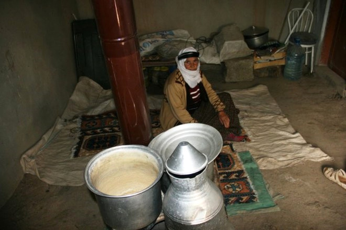 Yaşlı Kadının Yaşam Mücadelesi