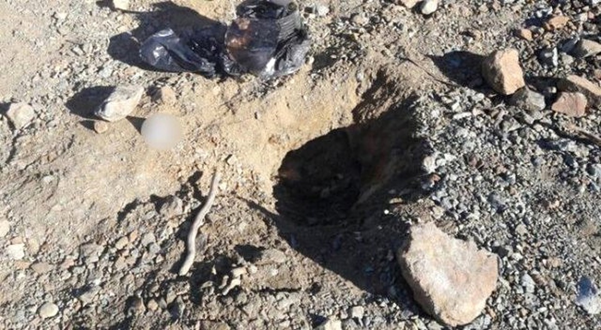 Adıyaman\'da, Yola Tuzaklanmış Eyp Bulundu