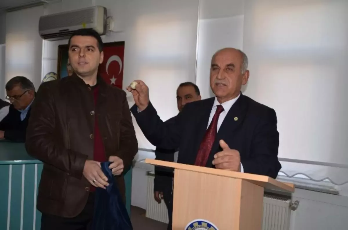 Bafra\'da Tütün Bakım ve İndirme Kuraları Çekildi