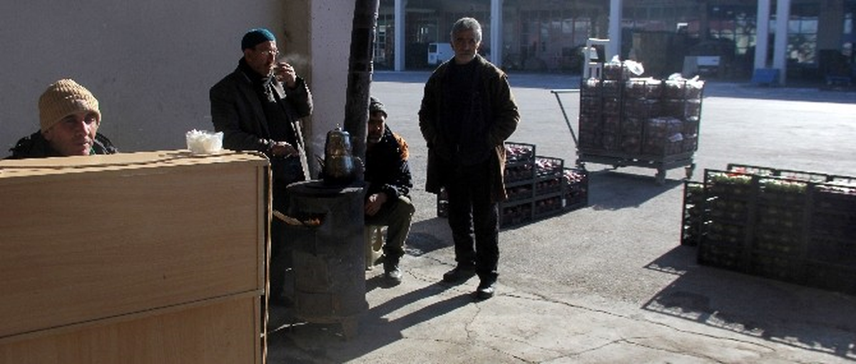 Erzurum Halinde Soğuktan Meyve ve Sebzeler Dondu
