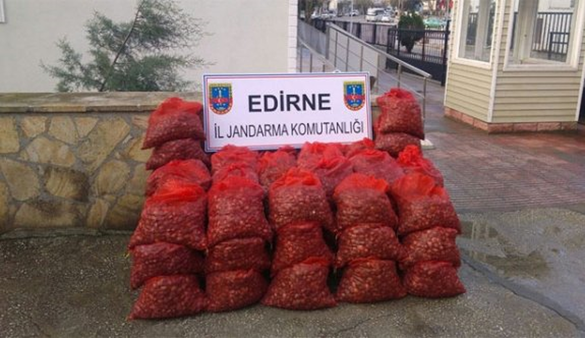 Jandarmanın Durdurduğu İki Araçta Kaçak Midye Ele Geçirildi
