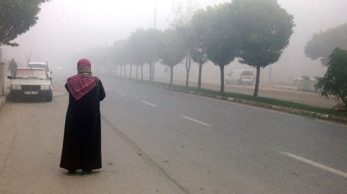 Manisa\'da Sis Etkili Oldu