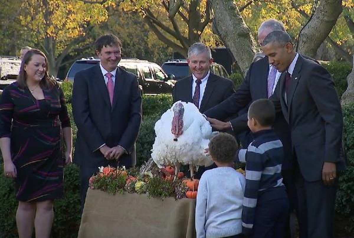 Obama, ABD Başkanı Olarak Son Kez İki Hindiyi Affetti