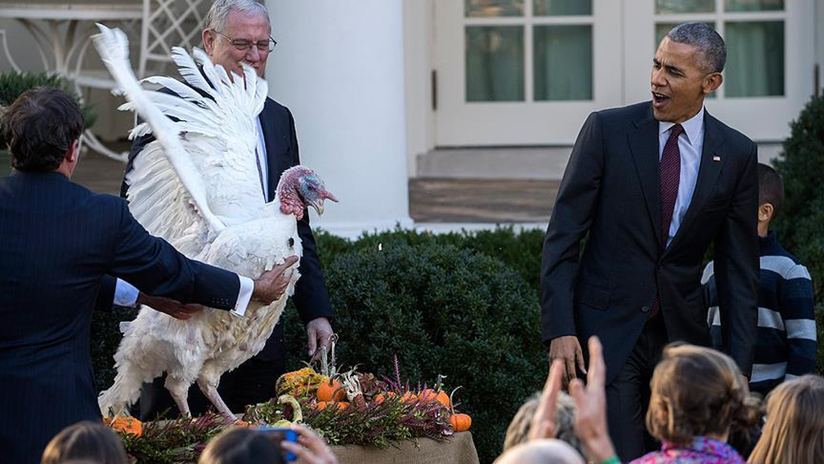 Obama, Başkan Olarak Son Kez Hindi Affetti