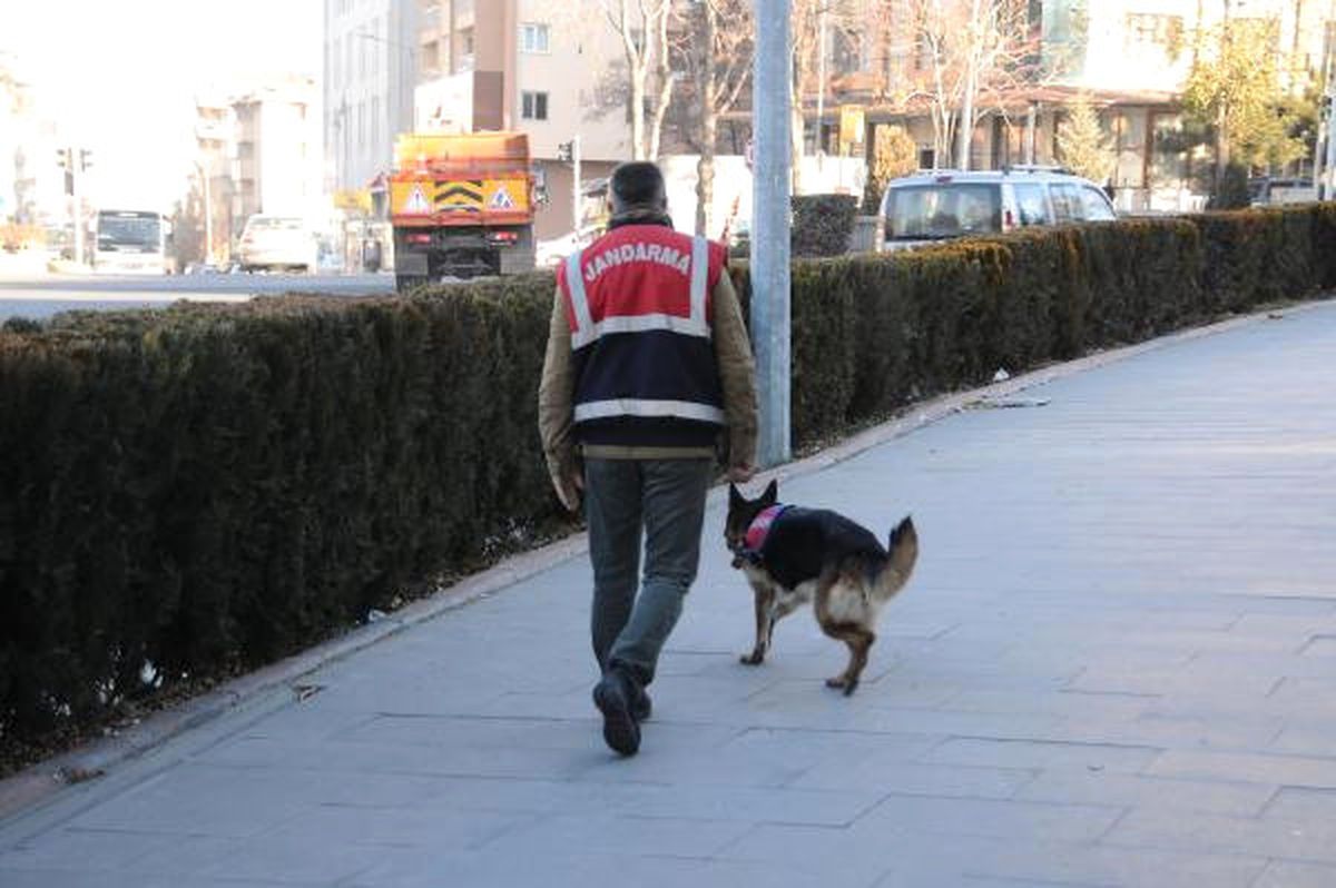Öğretmenler Günü Öncesi Köpeklerle Arama Yapıldı