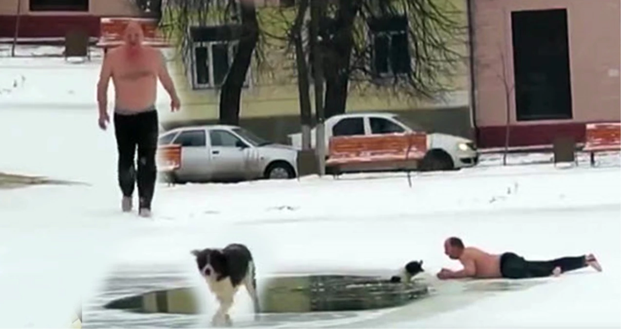 Rusya\'da Kahraman Adam Donmuş Gölete Düşen Köpeği Kurtardı