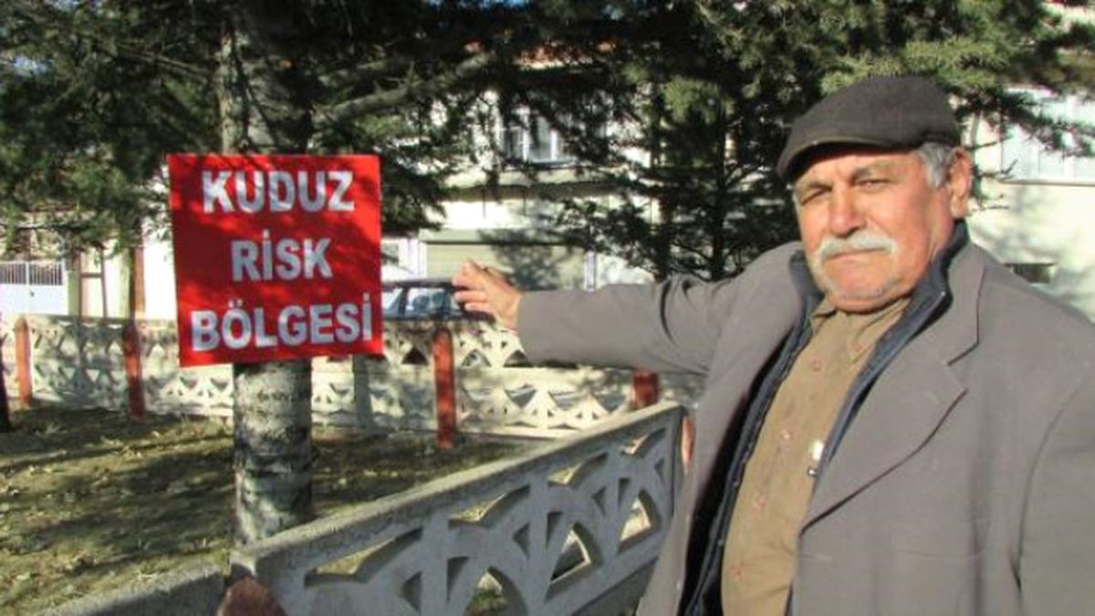 Sandıklı\'da Kuduz Karantinası