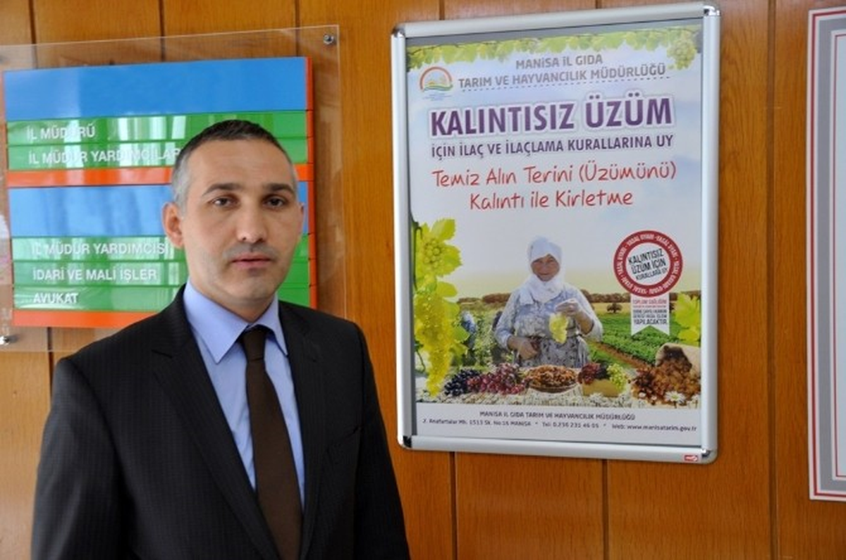 Üzümde Zirai İlaç Kalıntısı Sıfıra İndi