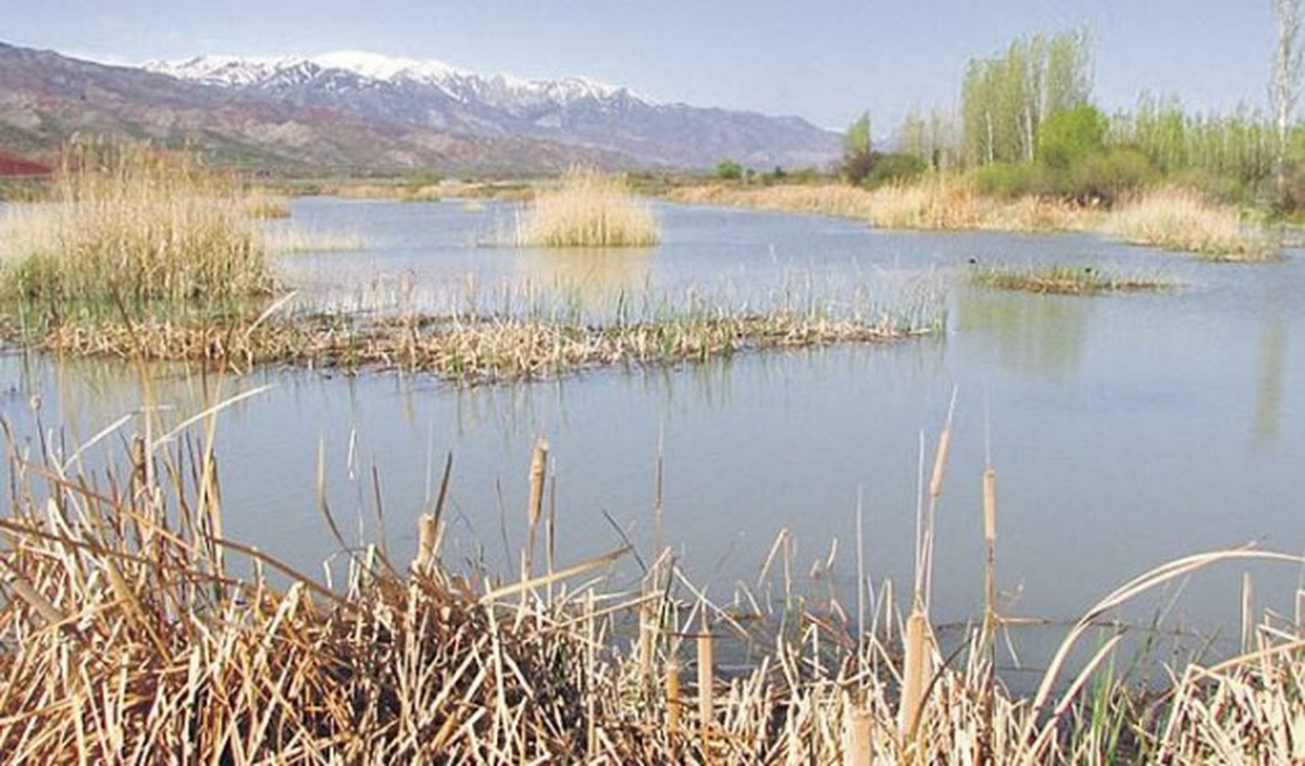 11 Bin Kilometre Göç Takibi