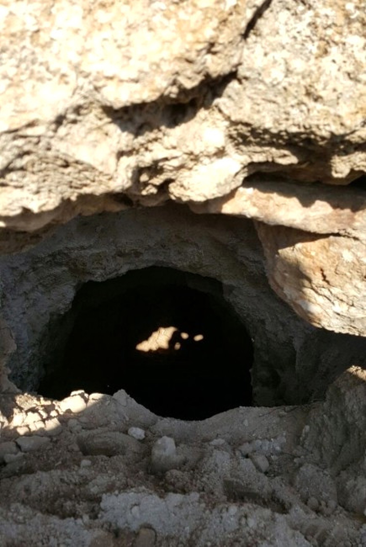 Bilecik\'te Jandarmadan Kaçak Kazı Operasyonu