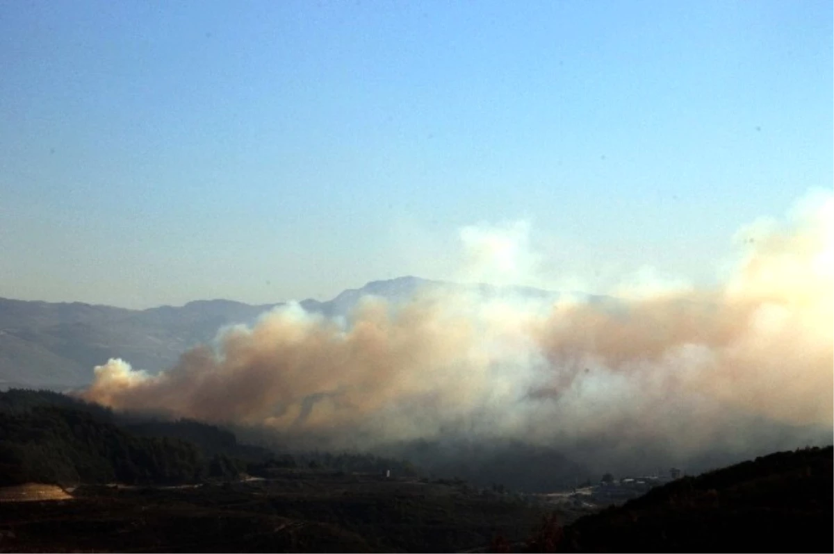 Hatay\'ın Suriye Sınırında Orman Yangını