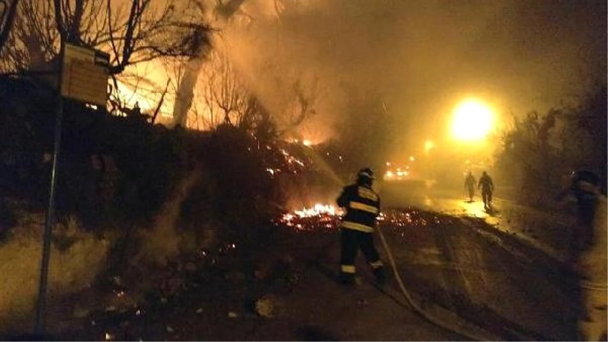İsrail\'deki Yangınların Şüphelisi Olduğu Gerekçesi ile 13 Kişi Yakalandı