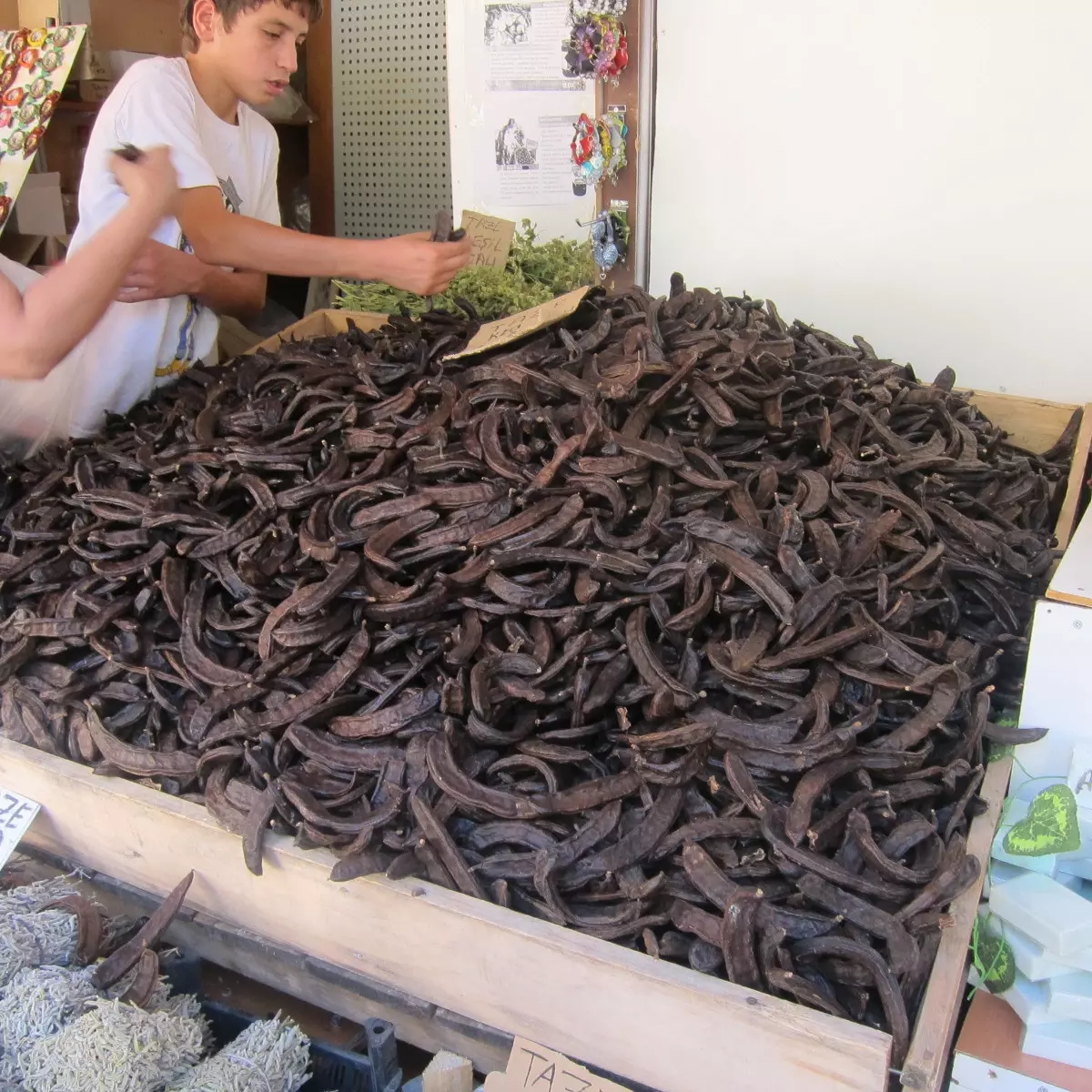 Keçiboynuzunun Faydaları Nelerdir?