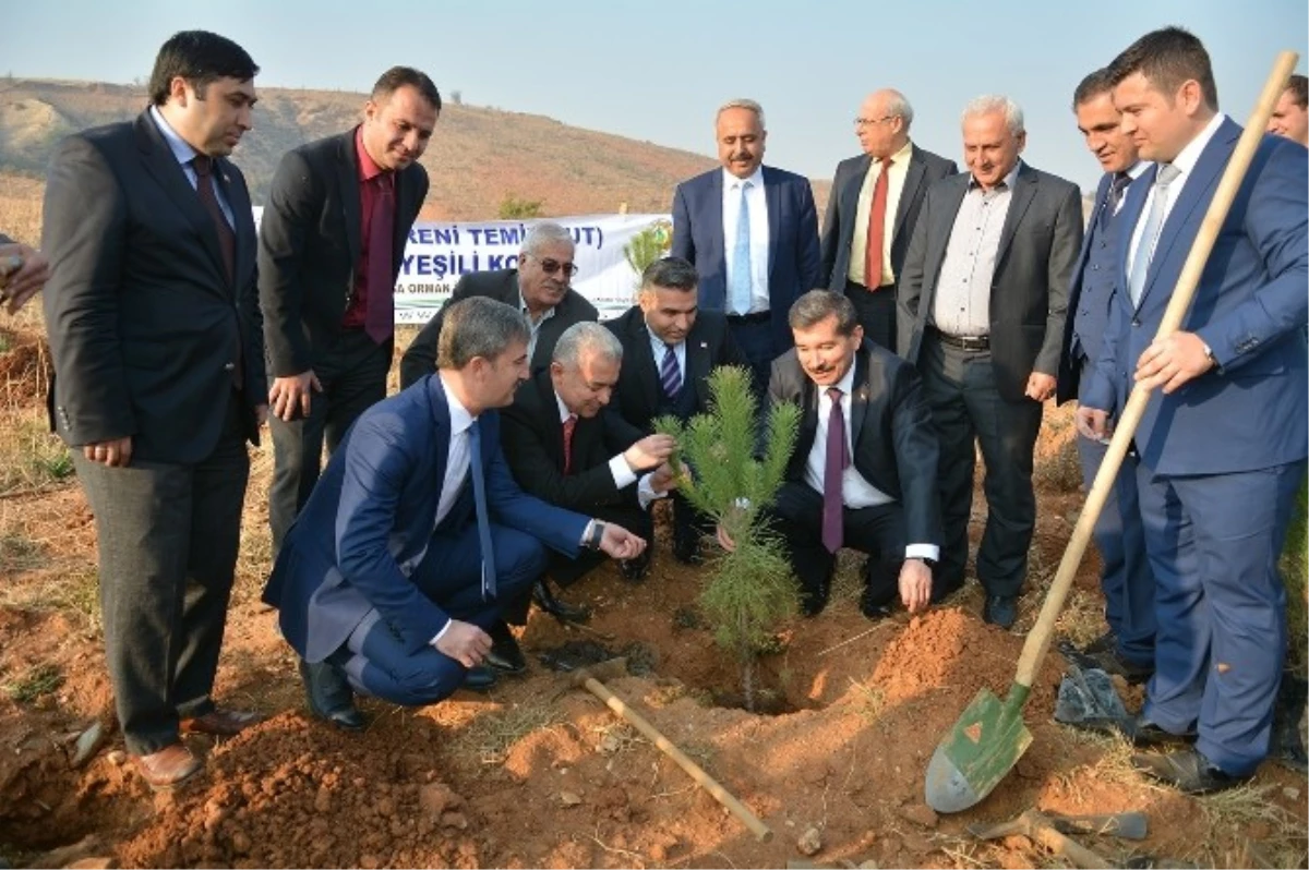 Şehit Kaymakam ve 15 Temmuz Şehitleri Anısına Hatıra Ormanı