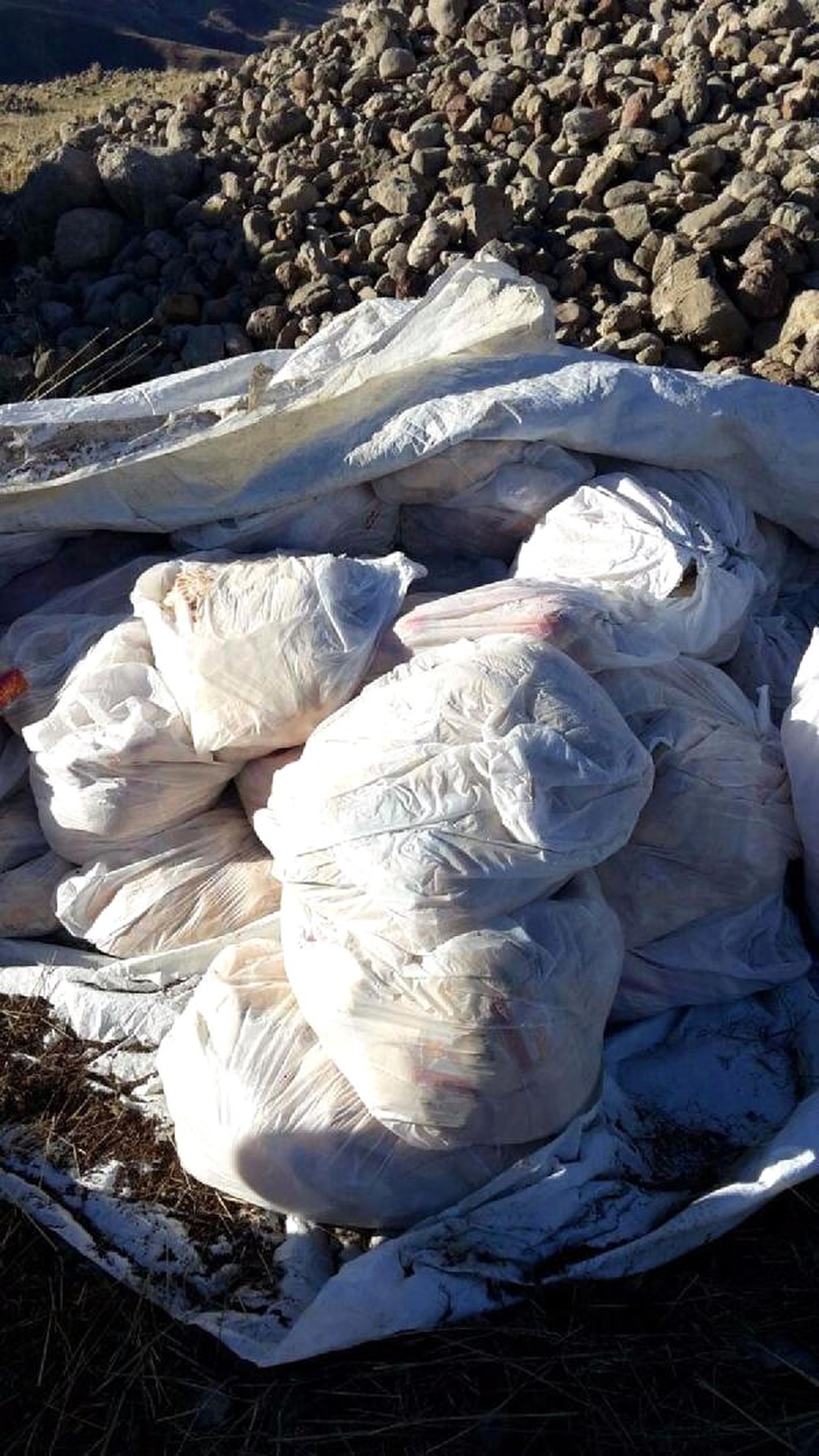 Siirt\'te Terör Örgütü PKK\'ya Ait Kışlık Yaşam Malzemesi Ele Geçirildi