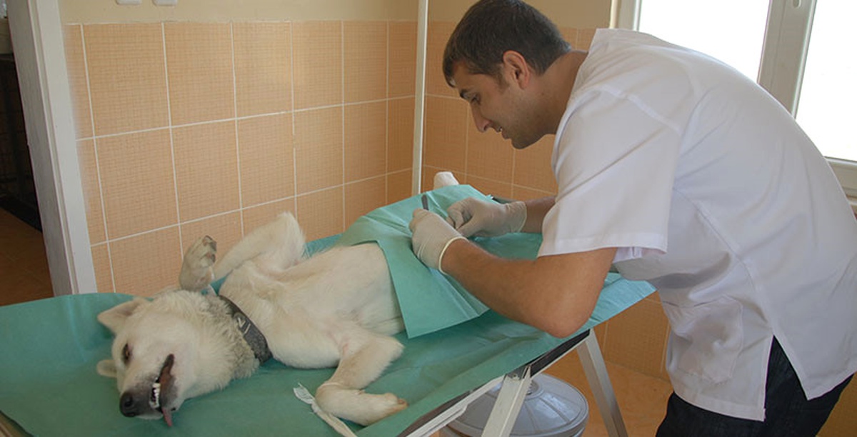 Tatvan\'a Yeni Hayvan Rehabilitasyon Merkezi