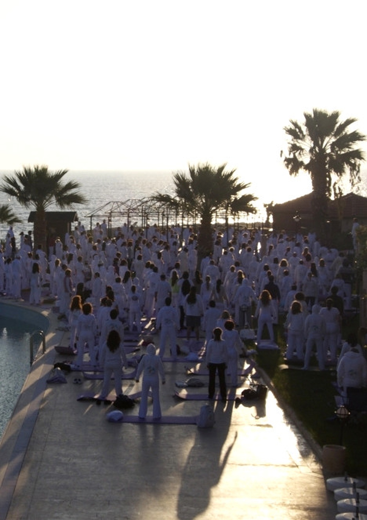 Yoga Festivali