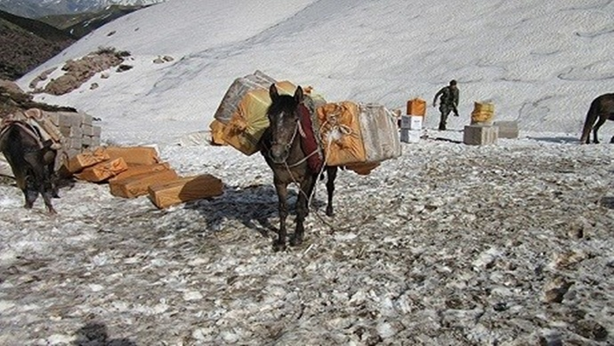 Hakkari'de Kaçakçılardan Alınan 60 Katır Koruma Altında