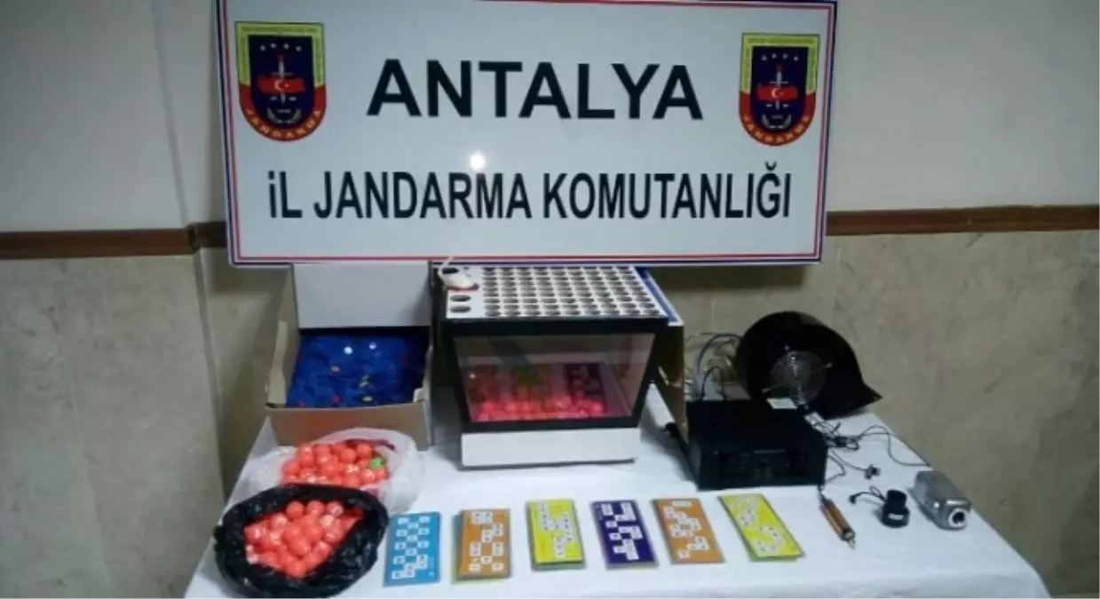 Jandarmadan Tombala Baskını