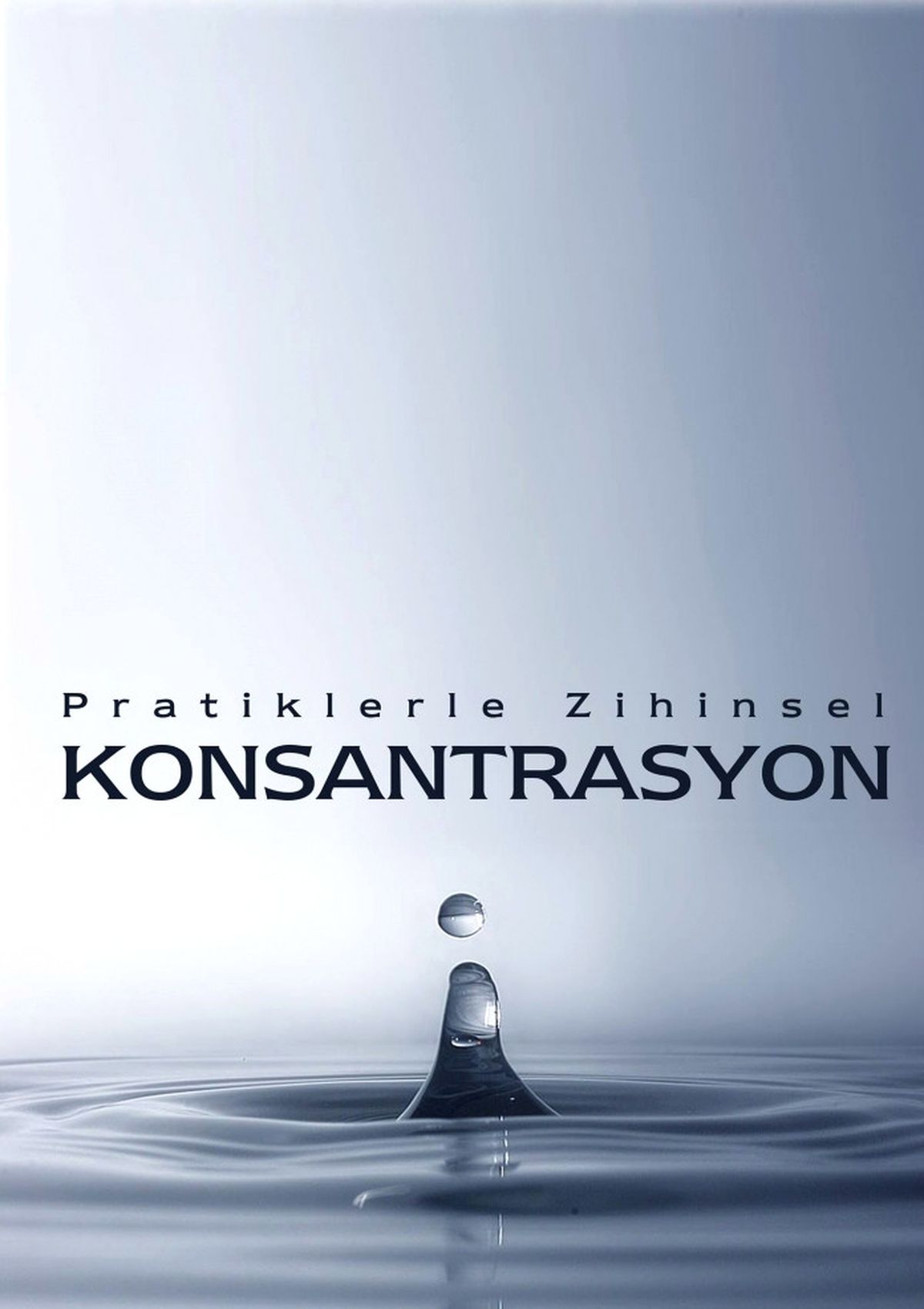 Konsantrasyon Atölyesi