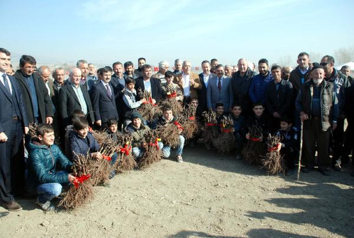 Turhal\'da Bin 800 Dekarlık Modern Bağ Tesisi Kuruldu